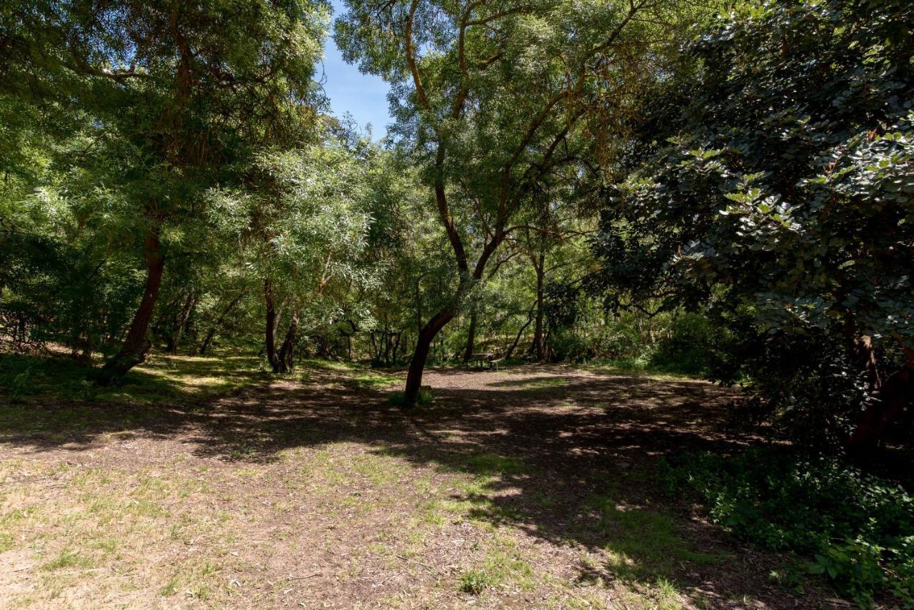 Belair National Park Holiday Park Exterior photo